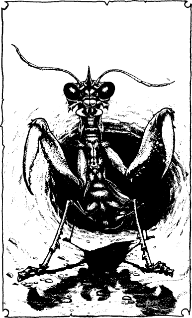 [illustration]