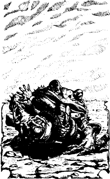[illustration]