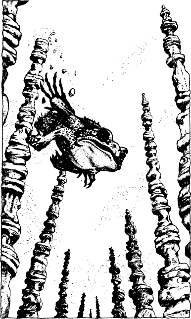 [illustration]