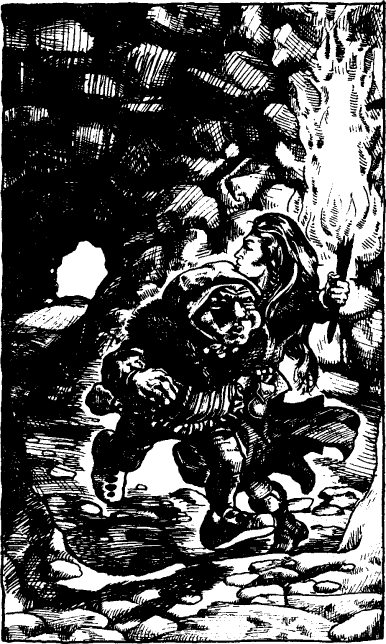 [illustration]