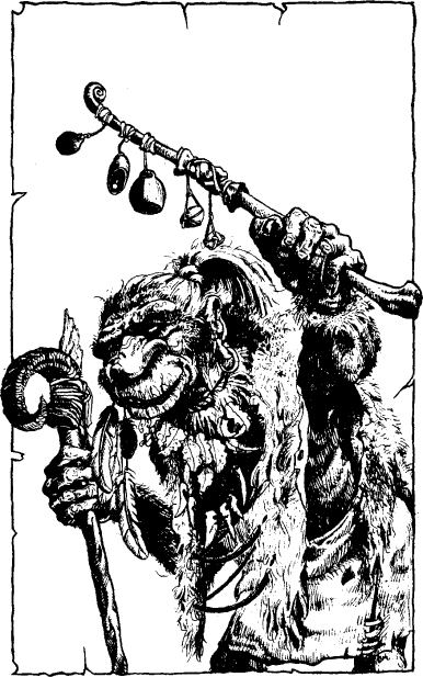 [illustration]