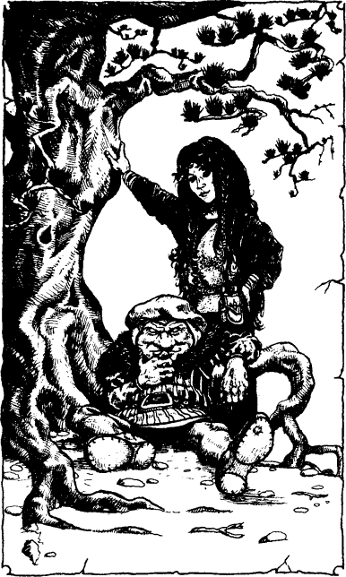 [illustration]