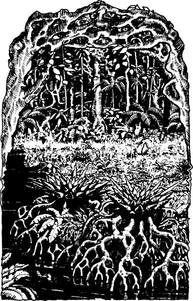 [illustration]