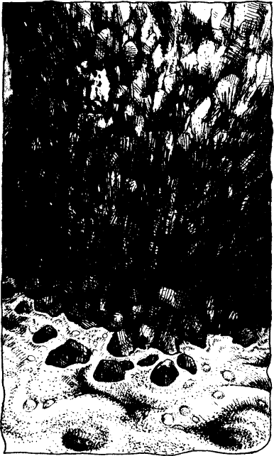[illustration]
