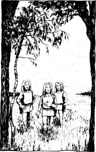 [illustration]