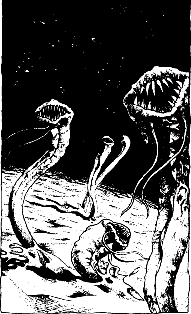 [illustration]