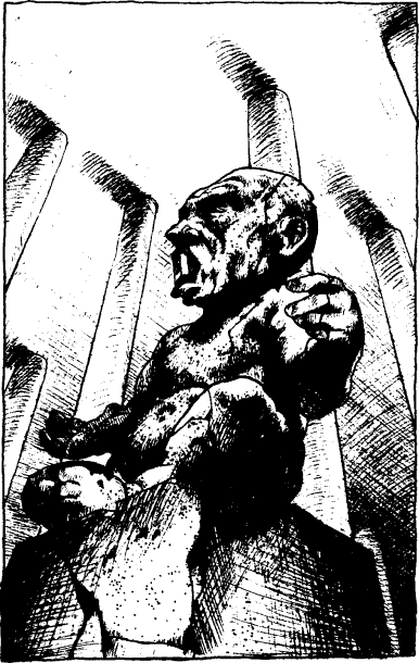 [illustration]