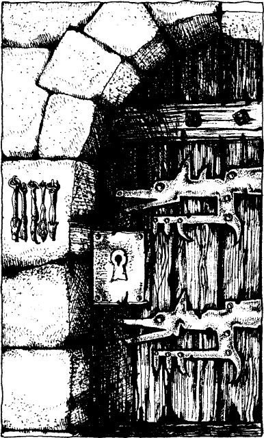 [illustration]