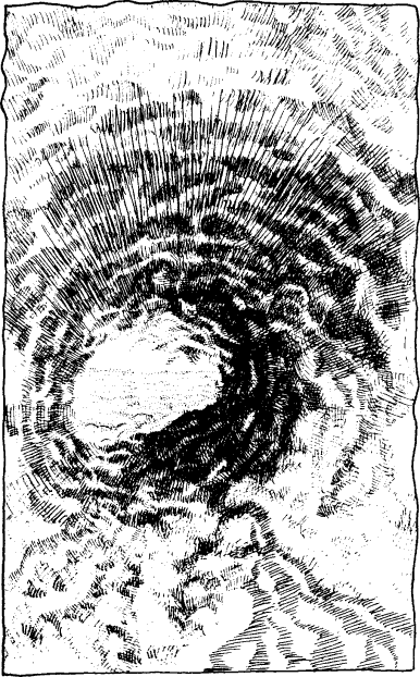 [illustration]
