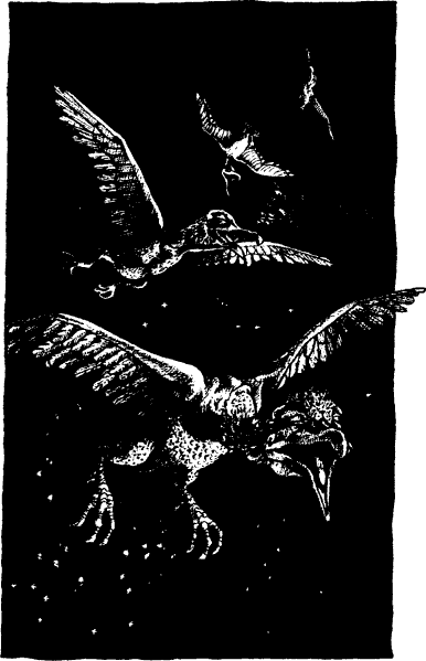 [illustration]