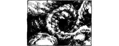 [illustration]
