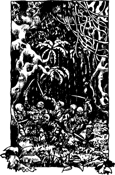 [illustration]