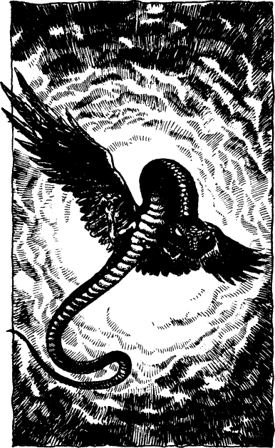 [illustration]