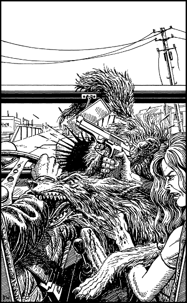 [illustration]