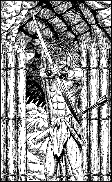 [illustration]