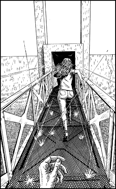 [illustration]