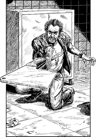 [illustration]