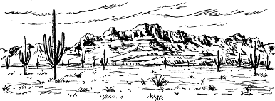 [illustration]