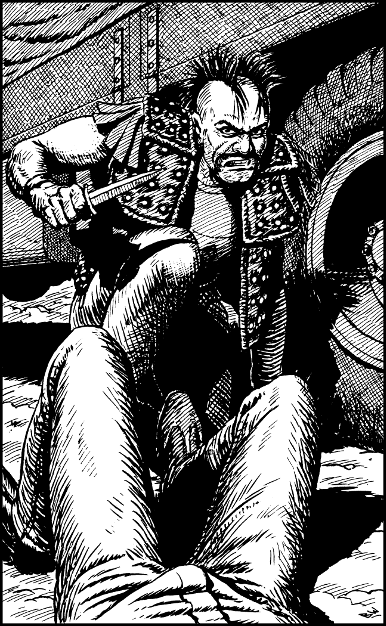 [illustration]