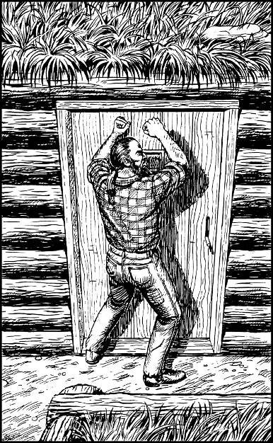 [illustration]