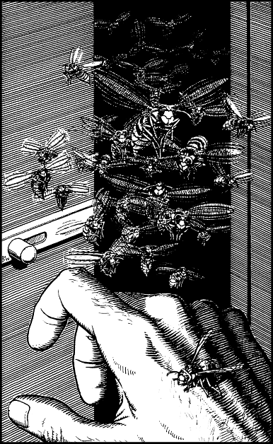 [illustration]
