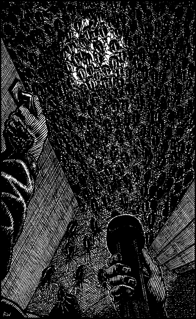 [illustration]
